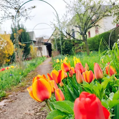 La Maison Flore ! Confort Et Nature Prázdninový dům *